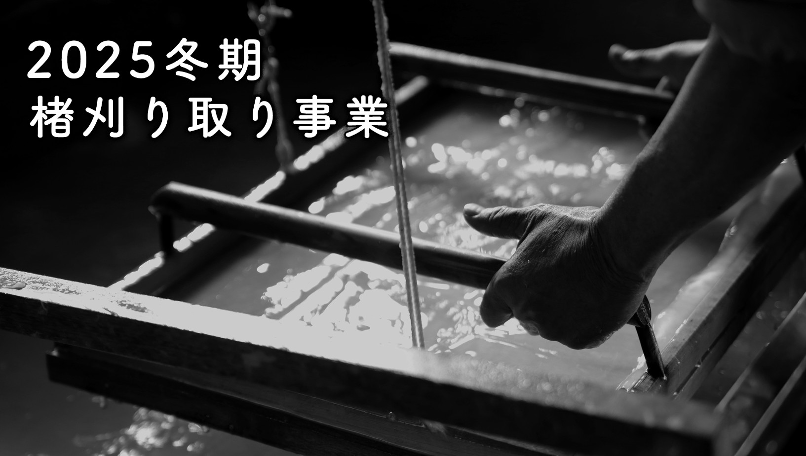 スクリーンショット 2025-11-18 234332